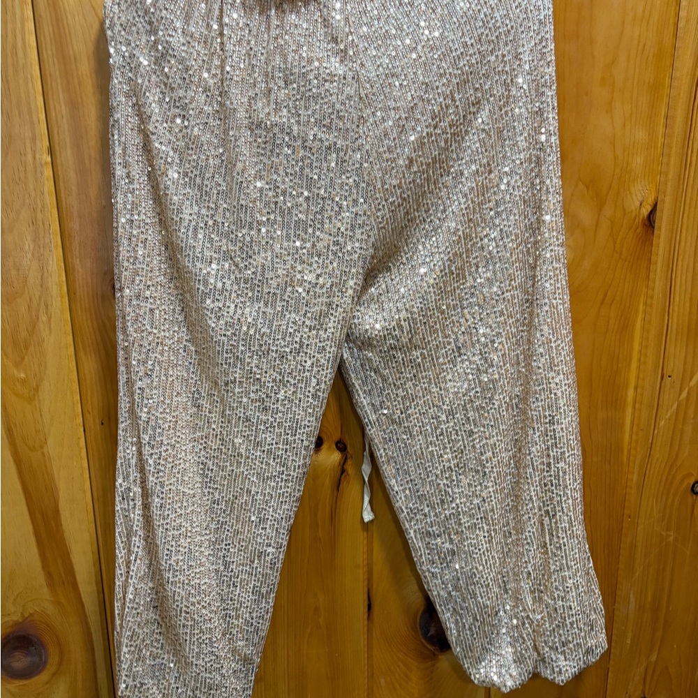 Sparkling Sequin Pants